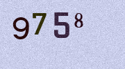 Visual Confirmation Security Code