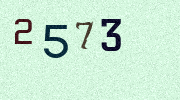 Visual Confirmation Security Code