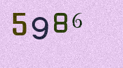Visual Confirmation Security Code