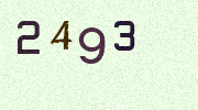 Visual Confirmation Security Code
