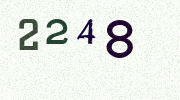 Visual Confirmation Security Code