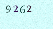 Visual Confirmation Security Code
