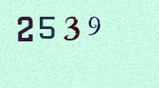 Visual Confirmation Security Code