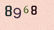 Visual Confirmation Security Code