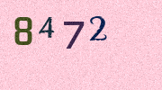 Visual Confirmation Security Code