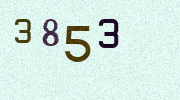 Visual Confirmation Security Code