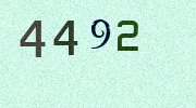 Visual Confirmation Security Code