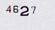 Visual Confirmation Security Code