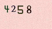 Visual Confirmation Security Code