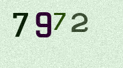 Visual Confirmation Security Code
