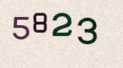 Visual Confirmation Security Code