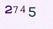 Visual Confirmation Security Code