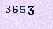 Visual Confirmation Security Code