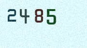 Visual Confirmation Security Code
