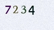 Visual Confirmation Security Code
