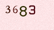 Visual Confirmation Security Code