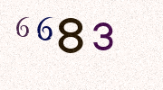 Visual Confirmation Security Code