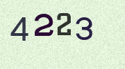 Visual Confirmation Security Code