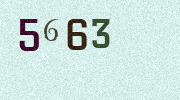Visual Confirmation Security Code