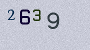 Visual Confirmation Security Code