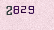Visual Confirmation Security Code