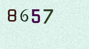 Visual Confirmation Security Code