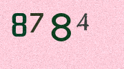 Visual Confirmation Security Code