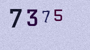 Visual Confirmation Security Code