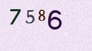Visual Confirmation Security Code