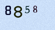 Visual Confirmation Security Code