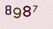 Visual Confirmation Security Code