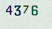 Visual Confirmation Security Code