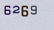 Visual Confirmation Security Code