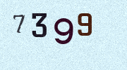 Visual Confirmation Security Code