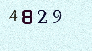 Visual Confirmation Security Code