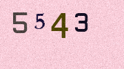 Visual Confirmation Security Code