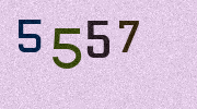 Visual Confirmation Security Code