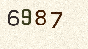 Visual Confirmation Security Code