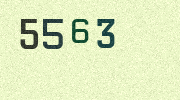 Visual Confirmation Security Code