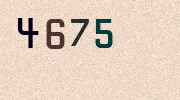 Visual Confirmation Security Code