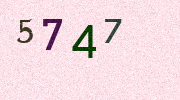 Visual Confirmation Security Code