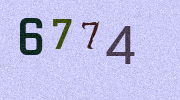 Visual Confirmation Security Code