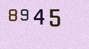 Visual Confirmation Security Code