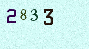 Visual Confirmation Security Code