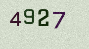 Visual Confirmation Security Code