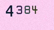 Visual Confirmation Security Code