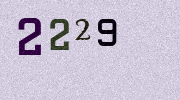 Visual Confirmation Security Code