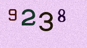 Visual Confirmation Security Code