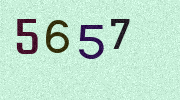 Visual Confirmation Security Code