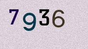 Visual Confirmation Security Code